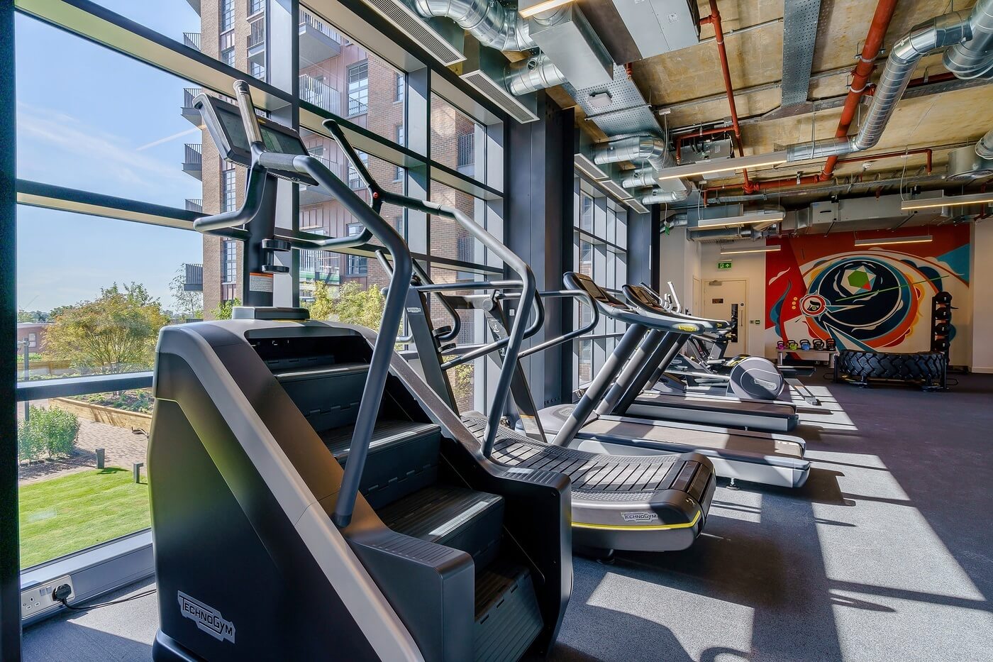 Our Guide to the Best Gyms in Wembley